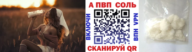 APVP СК  Курчалой 