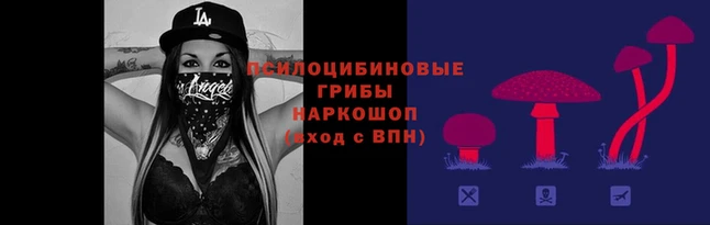 амф Балахна