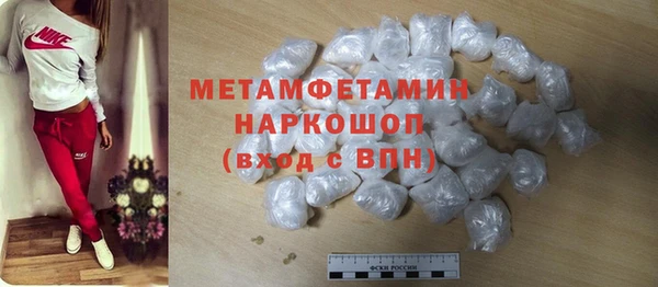 прущие грибы Снежногорск